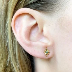 Blue Diamond North Star Stud Earrings