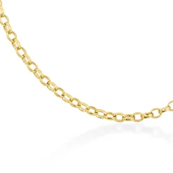 18ct Solid Gold Medium Oval Belcher Chain