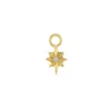 Gold & Diamond North Star Charm