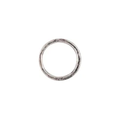 Infinite Ring