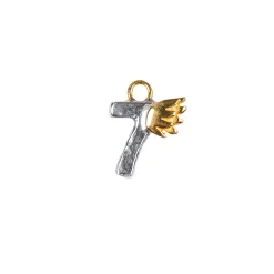 Lucky Number Seven Charm