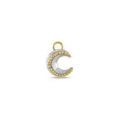Mini Moon Charm