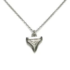 Sharks Tooth Necklace