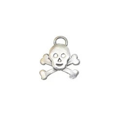 Skull & Crossbones Charm