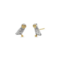 Spirit Owl Stud Earrings