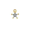 Star Charm