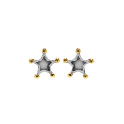 Star Stud Earrings