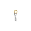 Tiny Key Charm