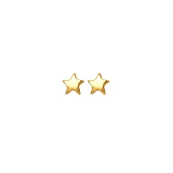 Tiny Star Earrings
