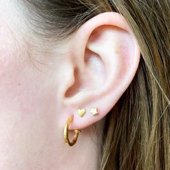 Tiny Star Earrings
